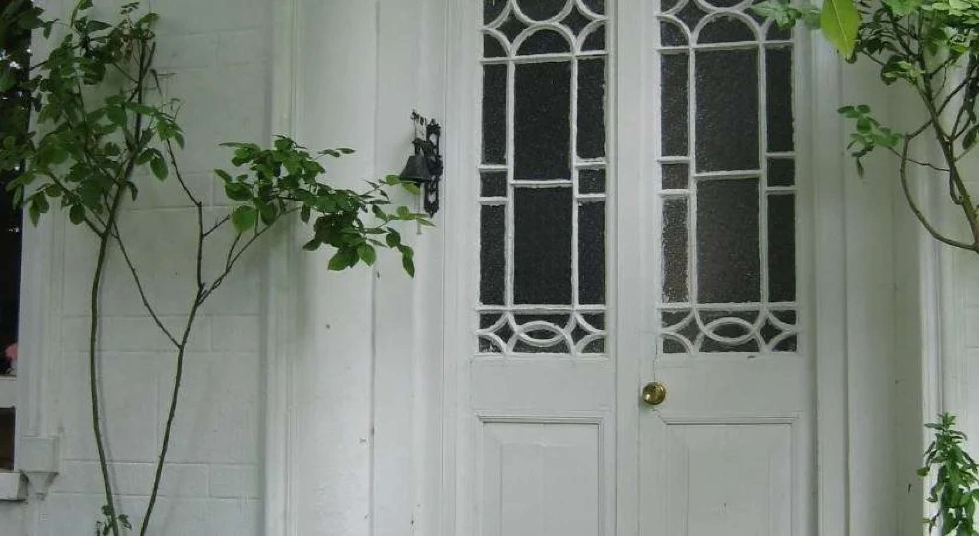 Koningin van Pieterburen