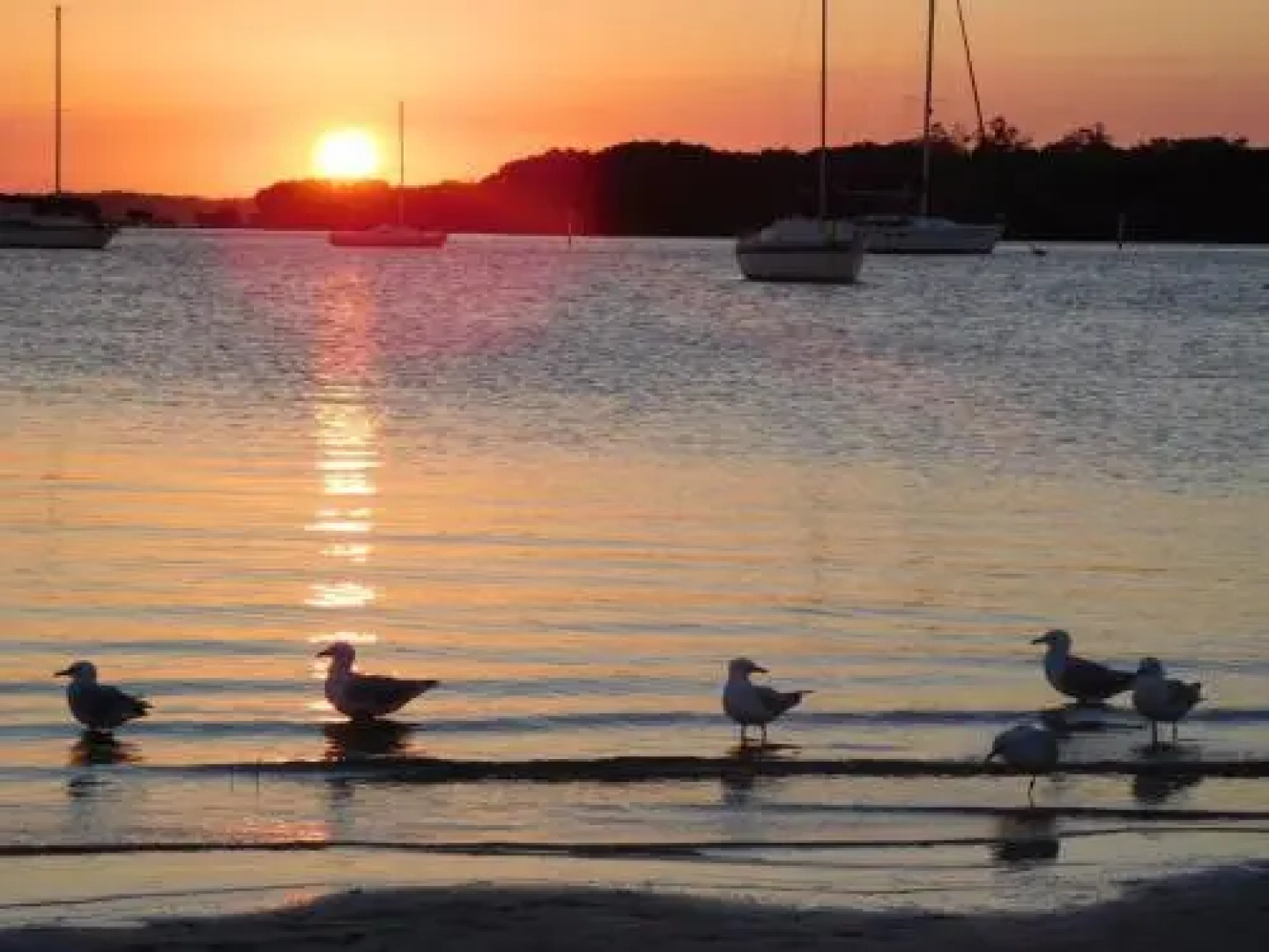 4 'The Point' 5-7 Mitchell Street- Stunnning Water Views With Air Conditioning