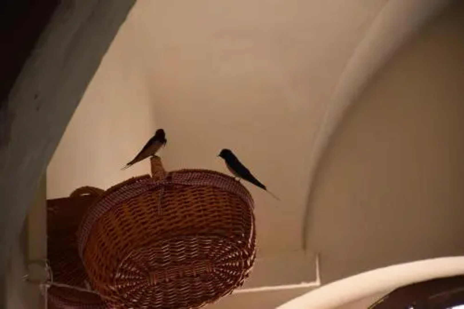 Agriturismo Biologico SS. Annunziata II