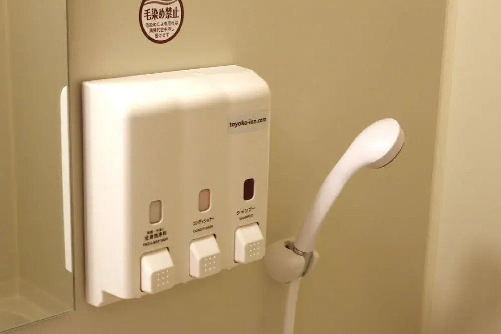 Toyoko Inn Tsukuba Express Moriya Ekimae