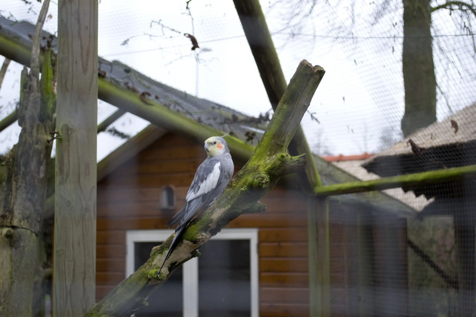 Veluwe Hotel de Beyaerd
