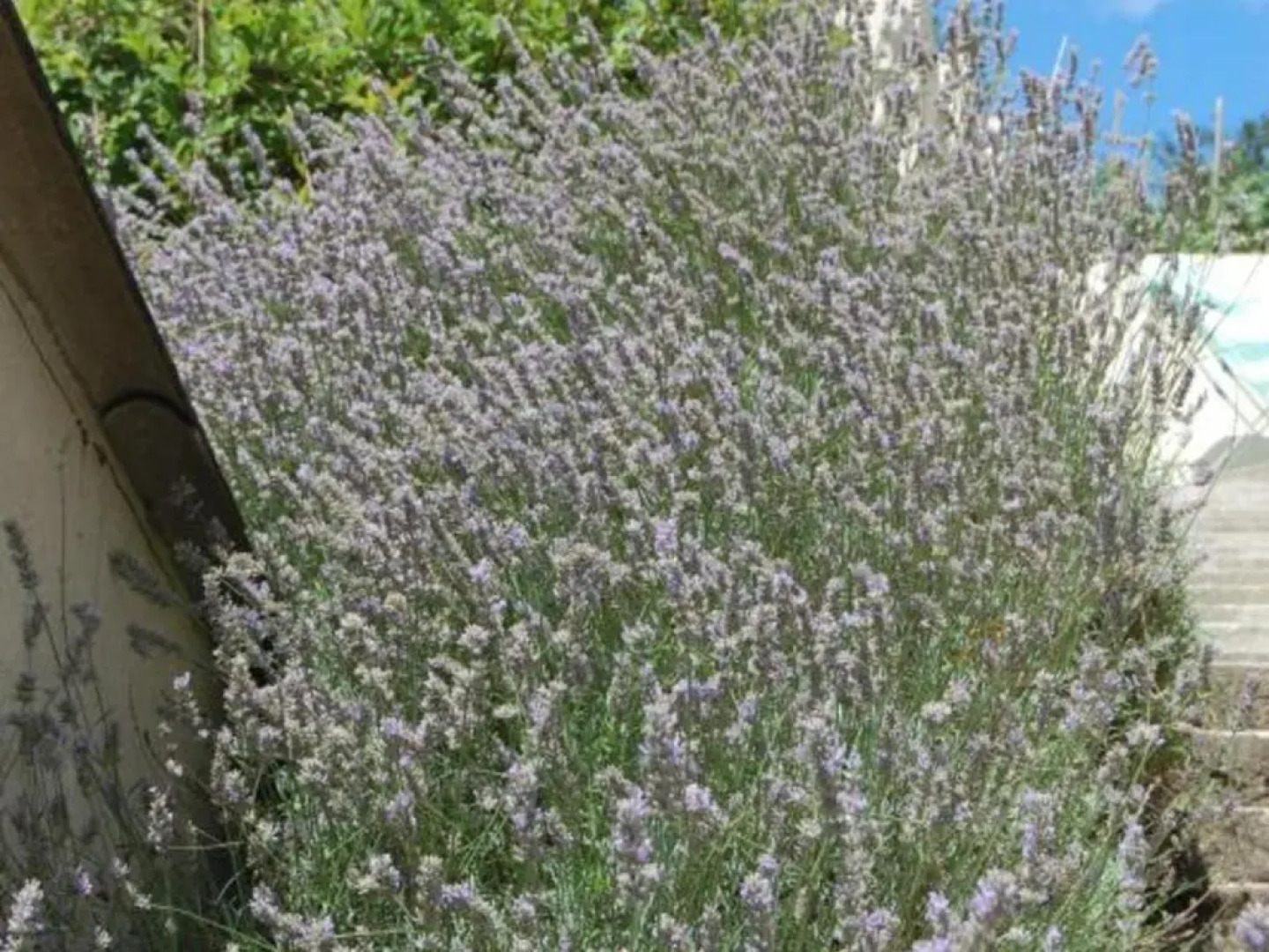 Gîte Cangey, 4 pièces, 6 personnes - FR-1-381-82