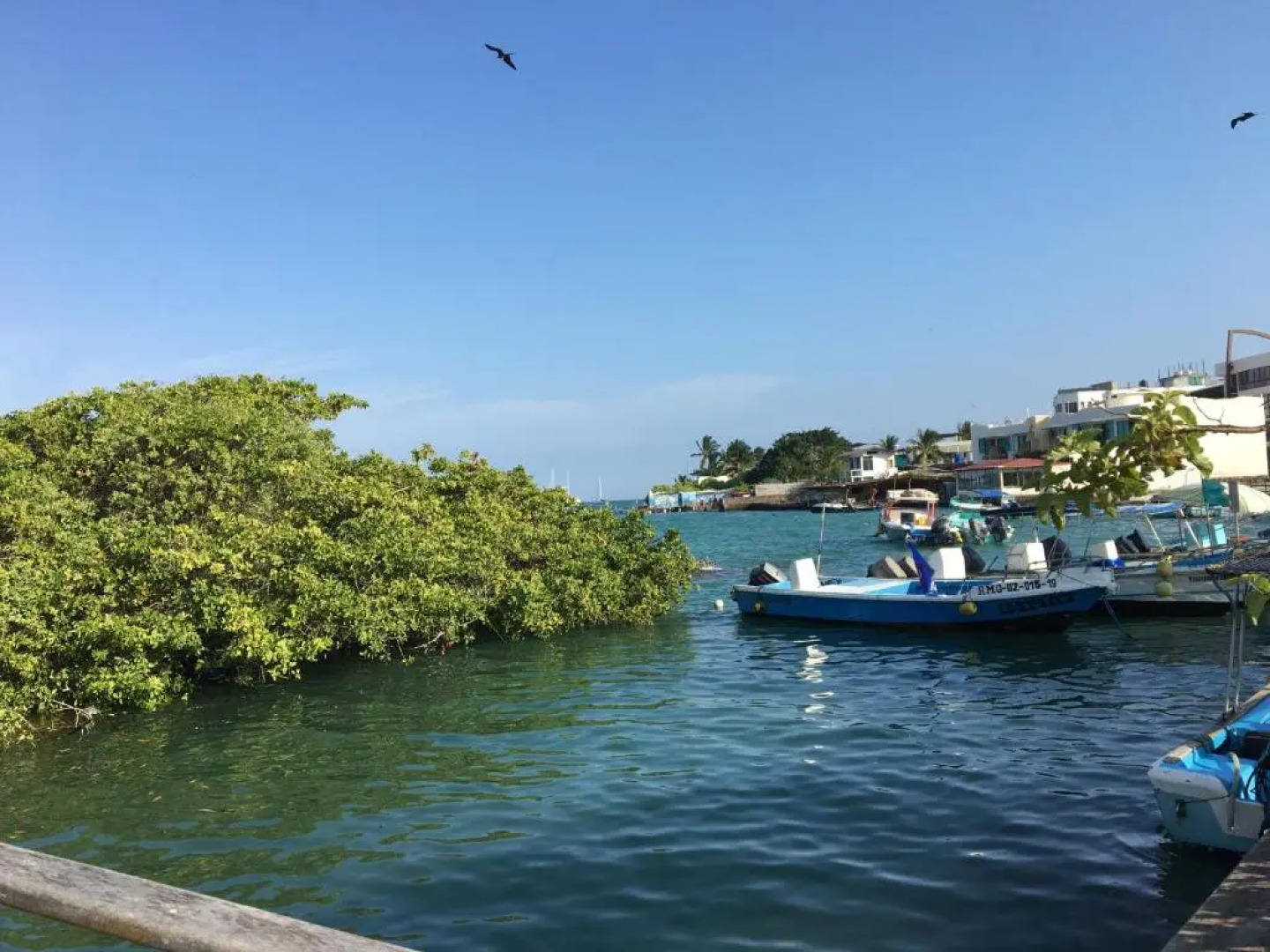 Galapagos Hostelling