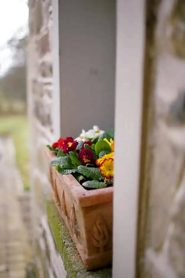 Scion Hill Gate Lodge