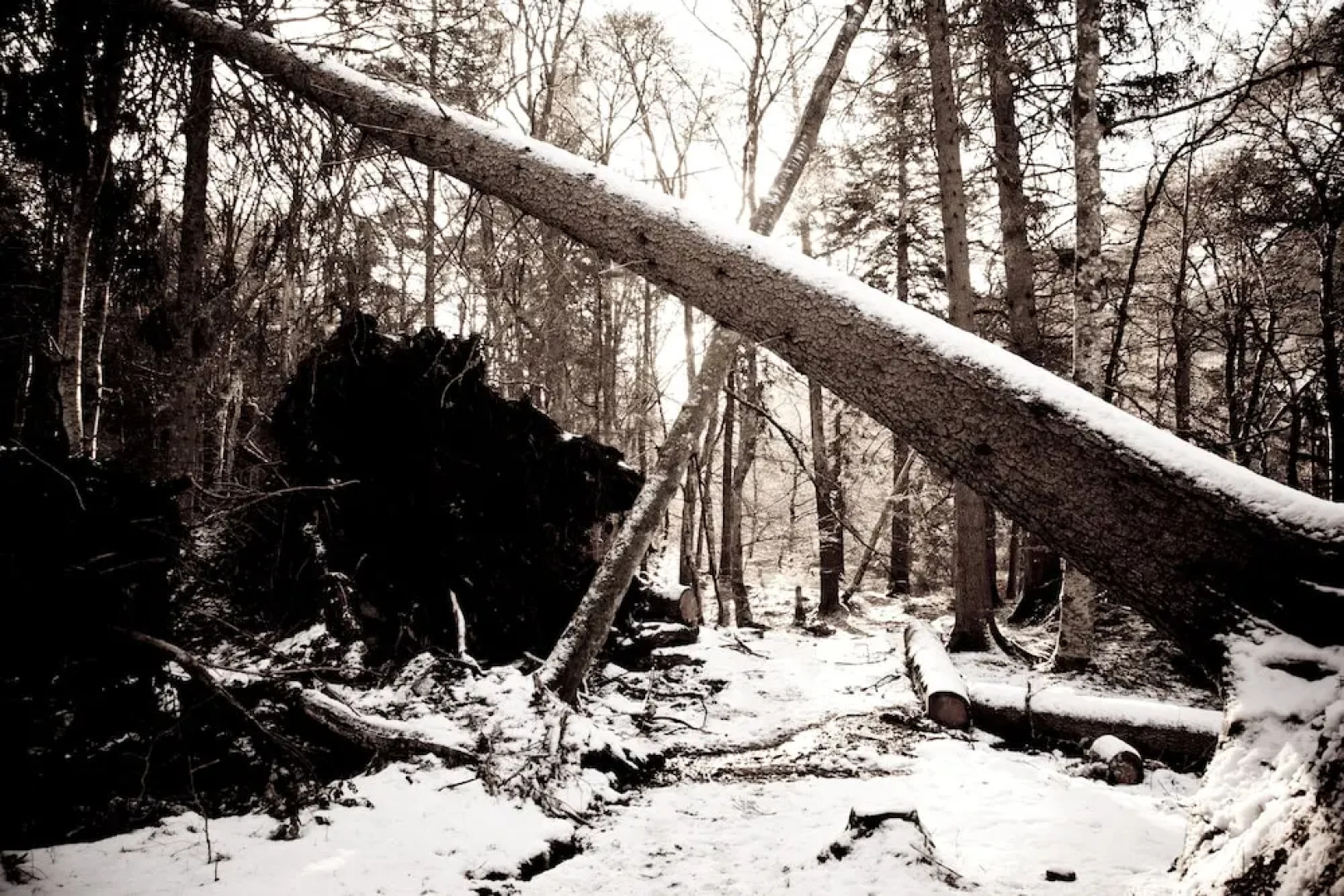 Richmond House Hotel