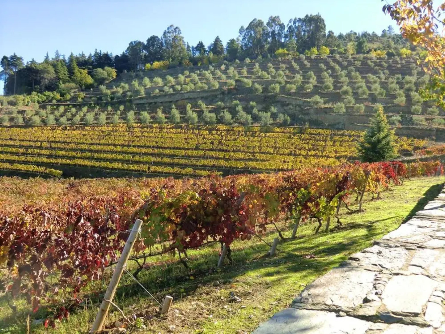 House With 2 Bedrooms in Torre de Moncorvo, With Wonderful Mountain Vi