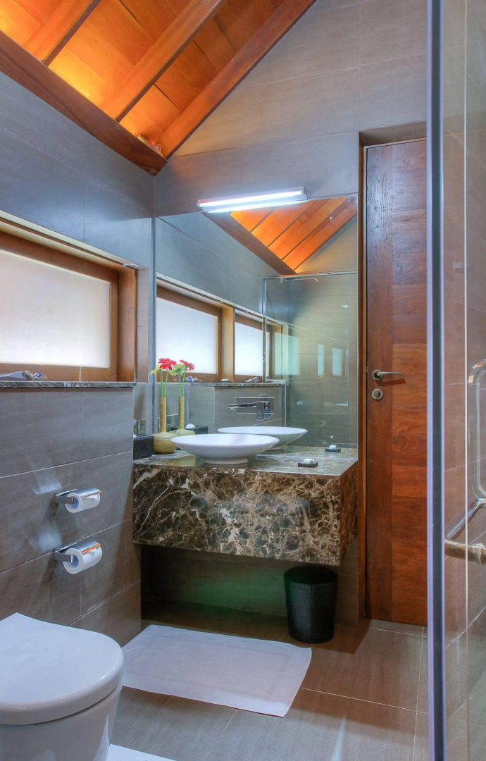 Tea Plant Nuwara Eliya