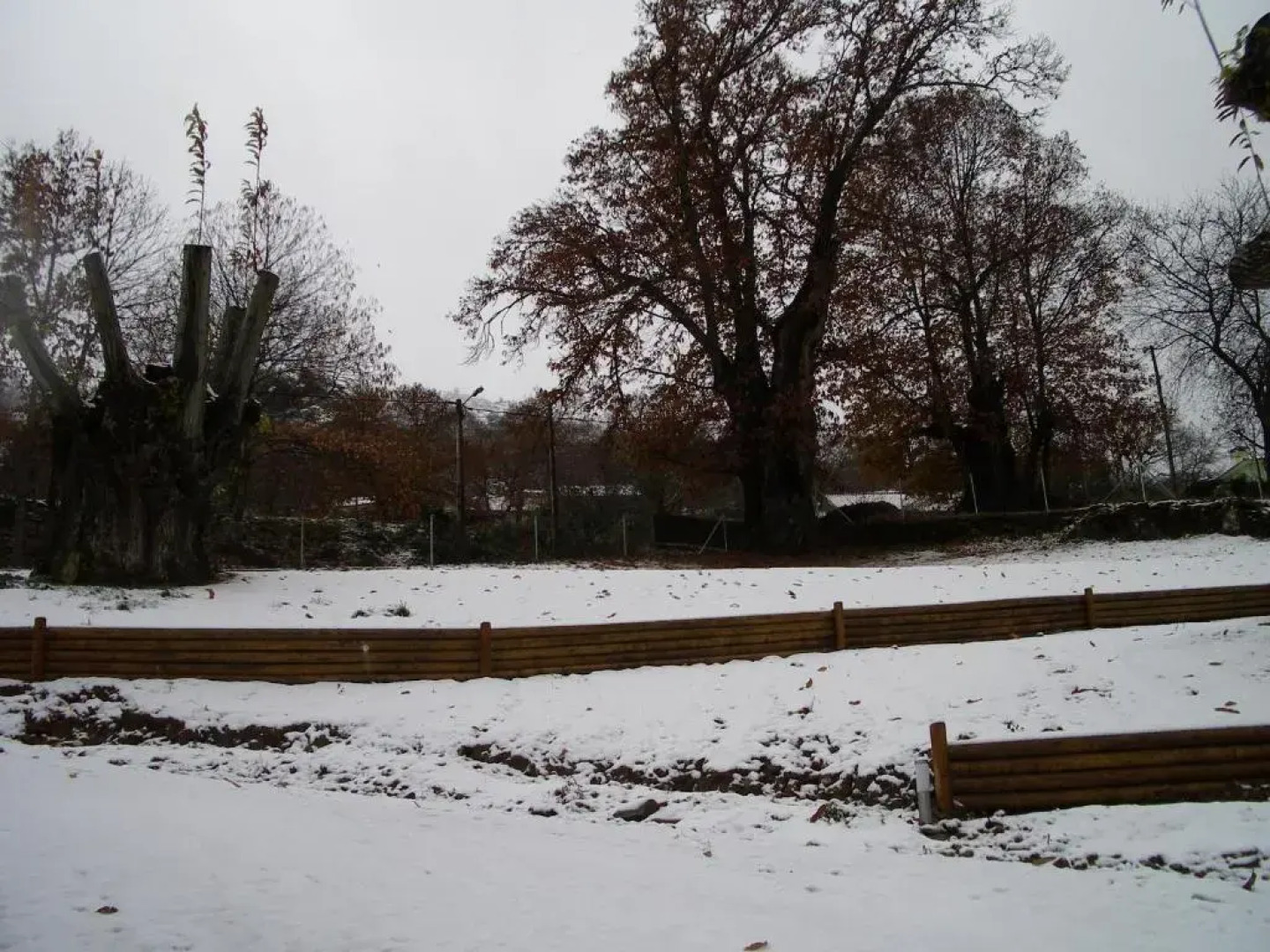 Quinta Dos Castanheiros - Turismo Rural