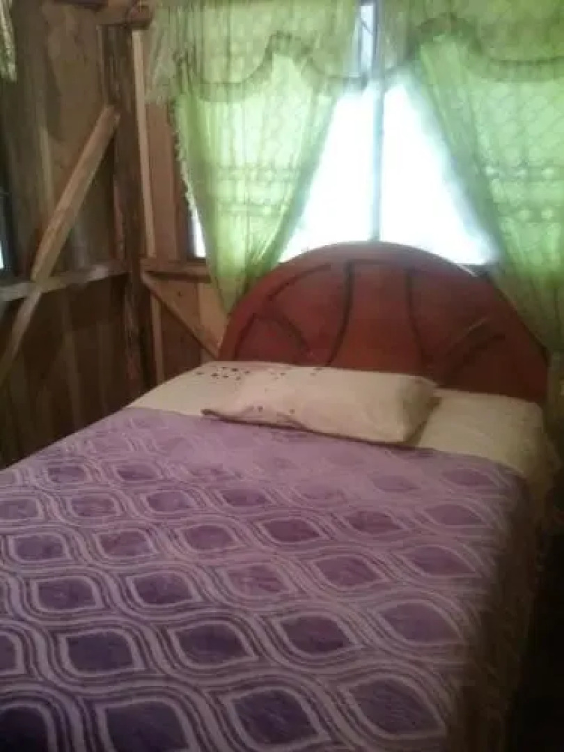 Pacto Retreat Hostel