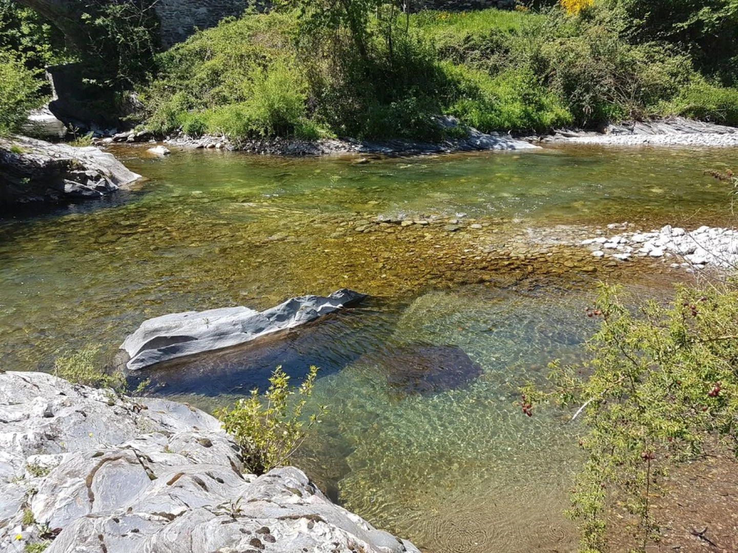 Gîte la licorne voyageuse
