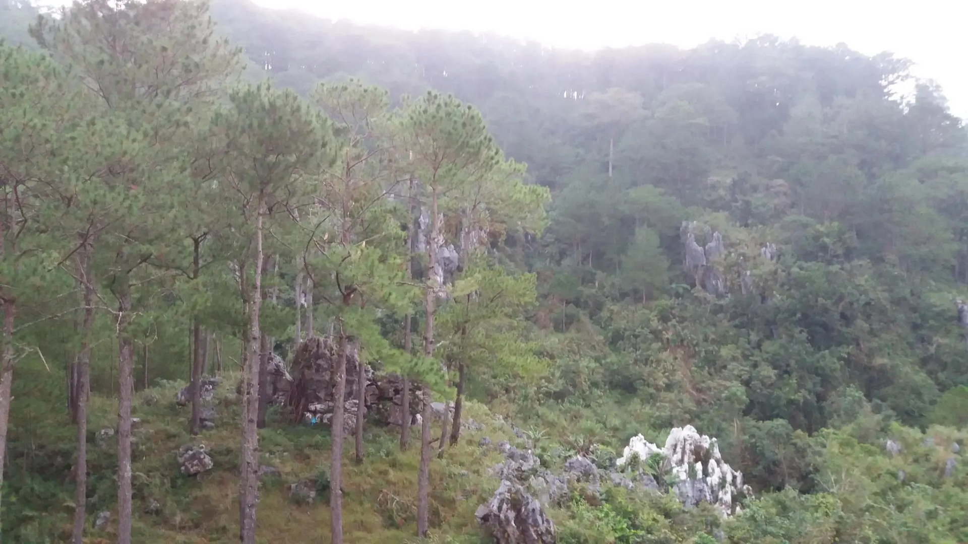 Kanip Aw Pines View Lodge