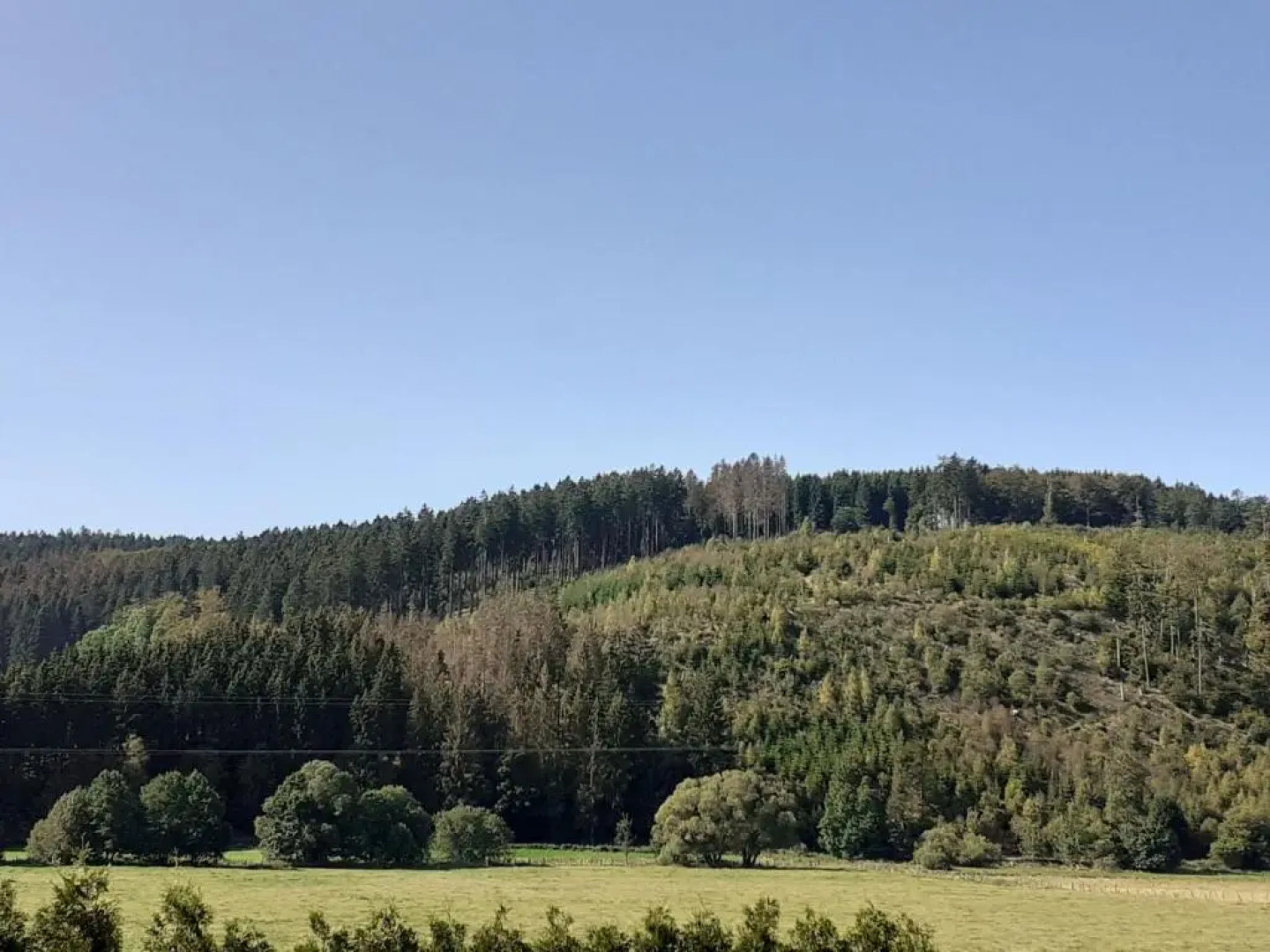 Ferienwohnung Gartenstraße