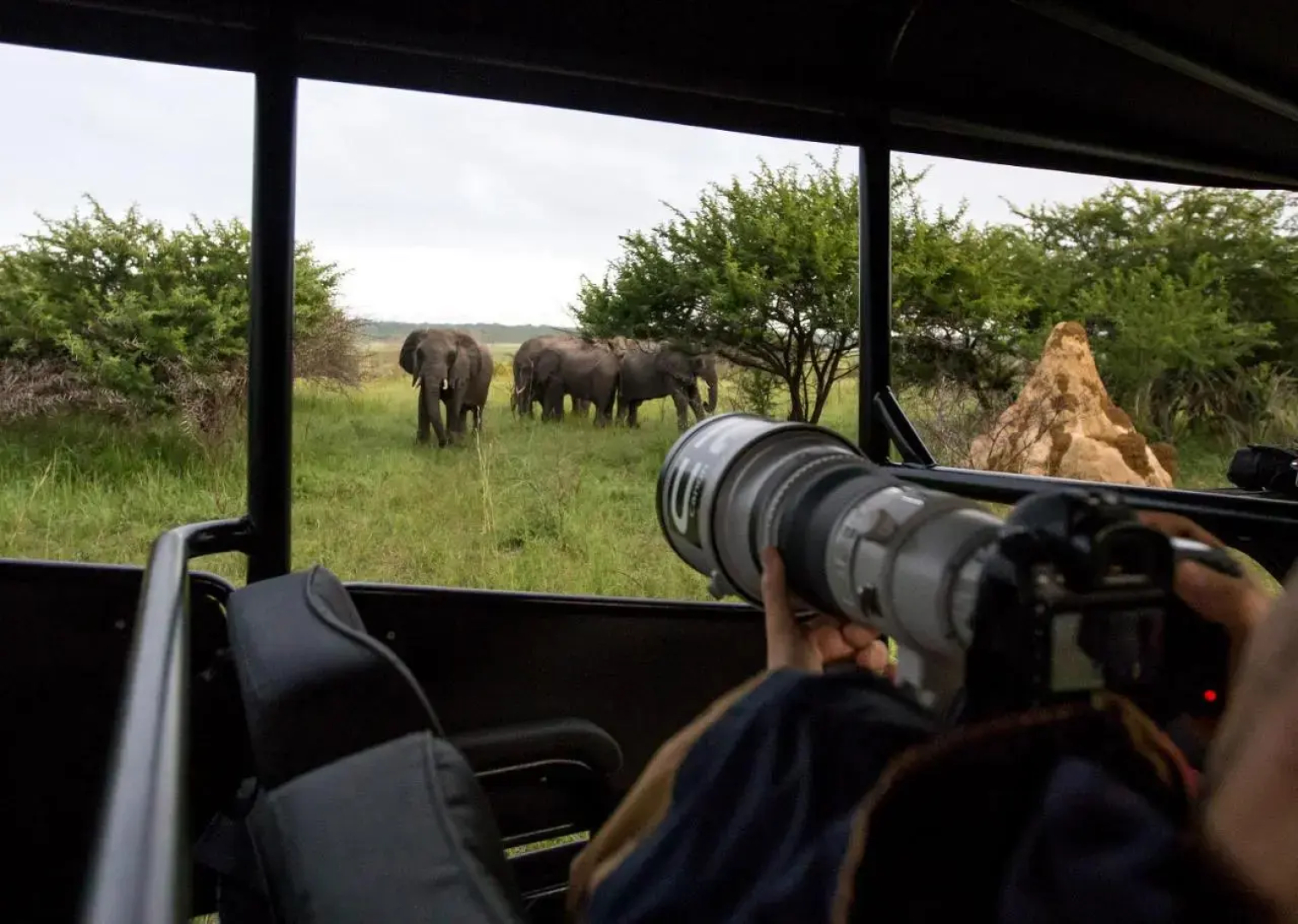 Royal Thonga Safari Lodge
