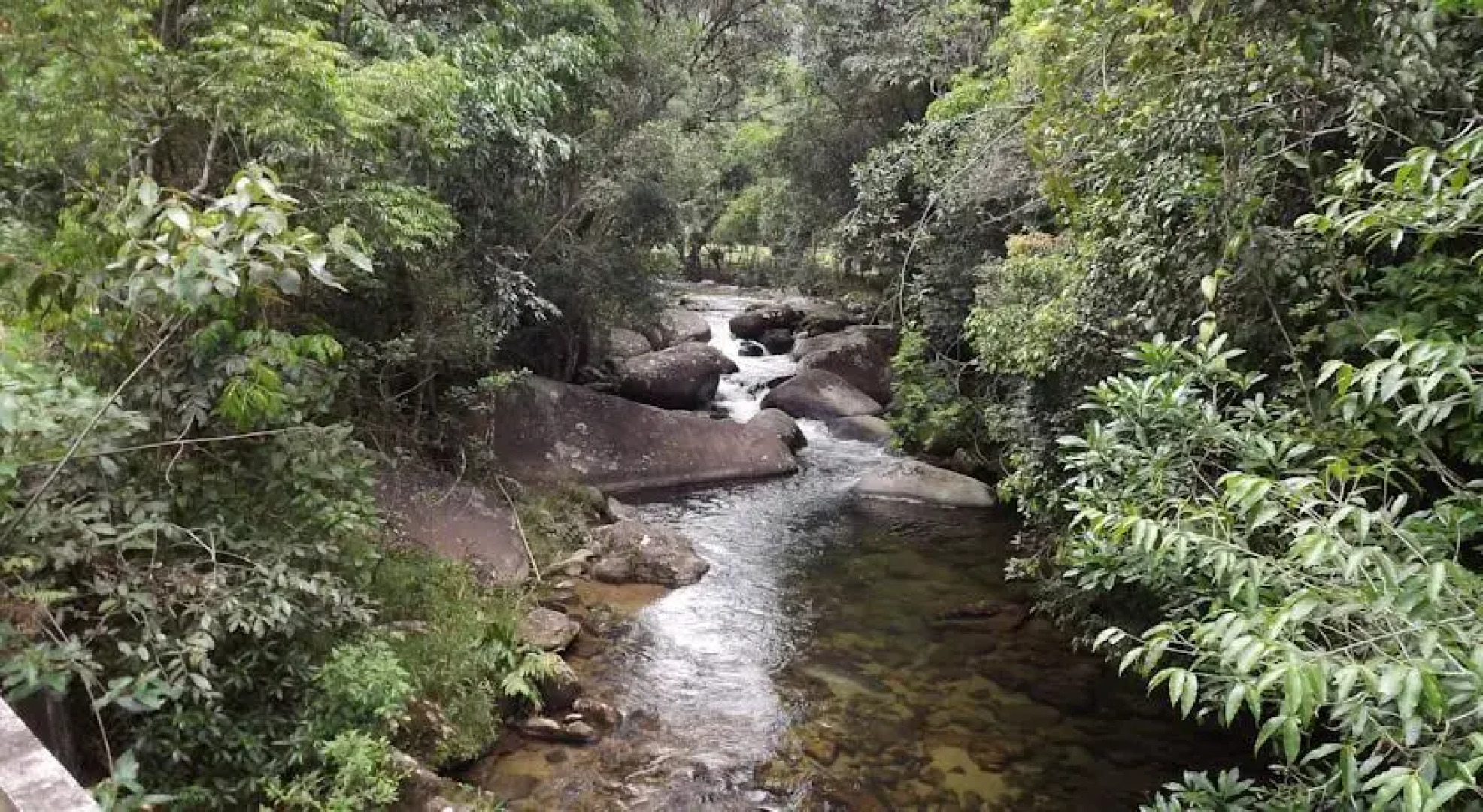 Custemo mas Cheguemo