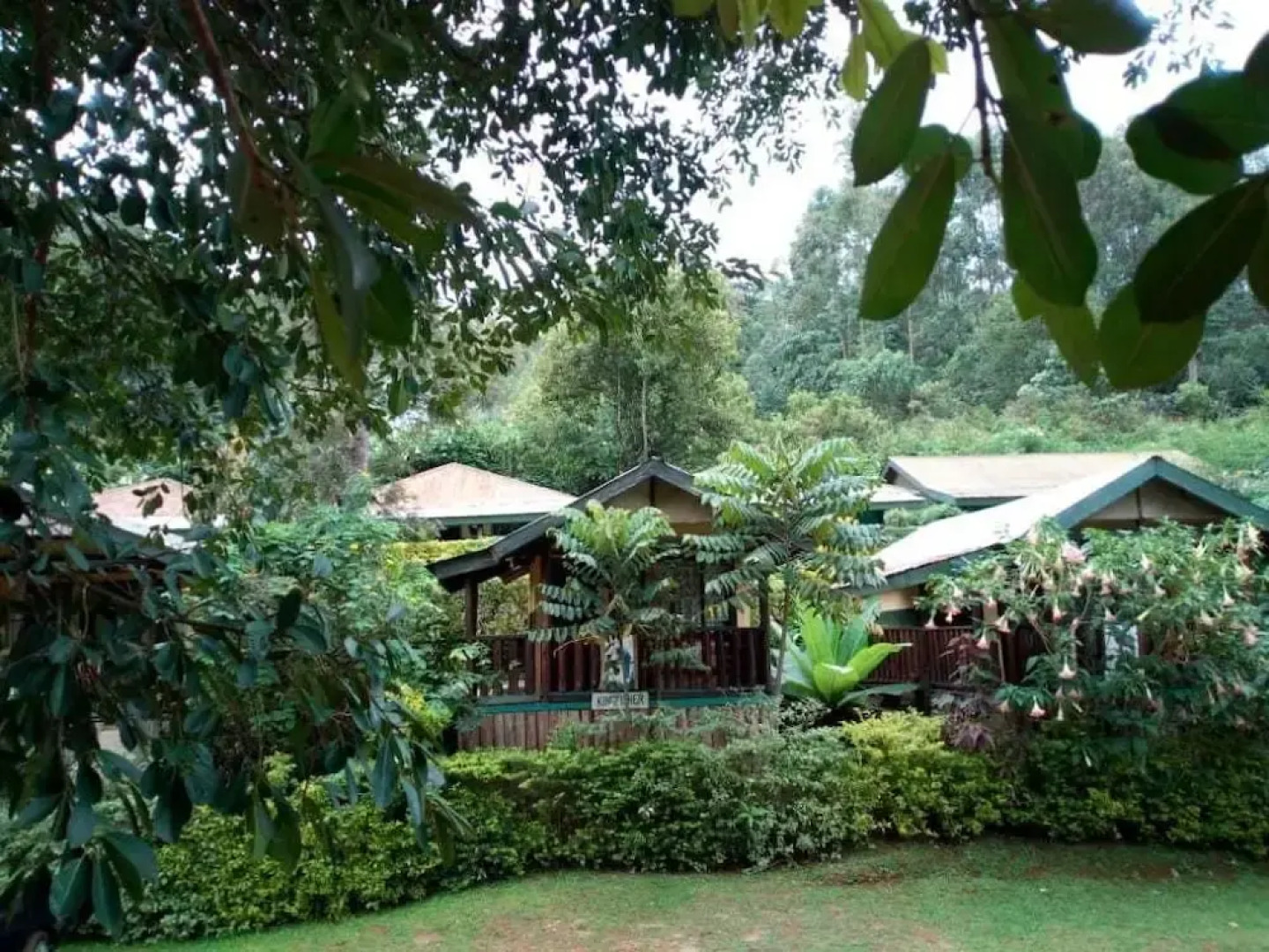 Bwindi View Lodge & Camp Site