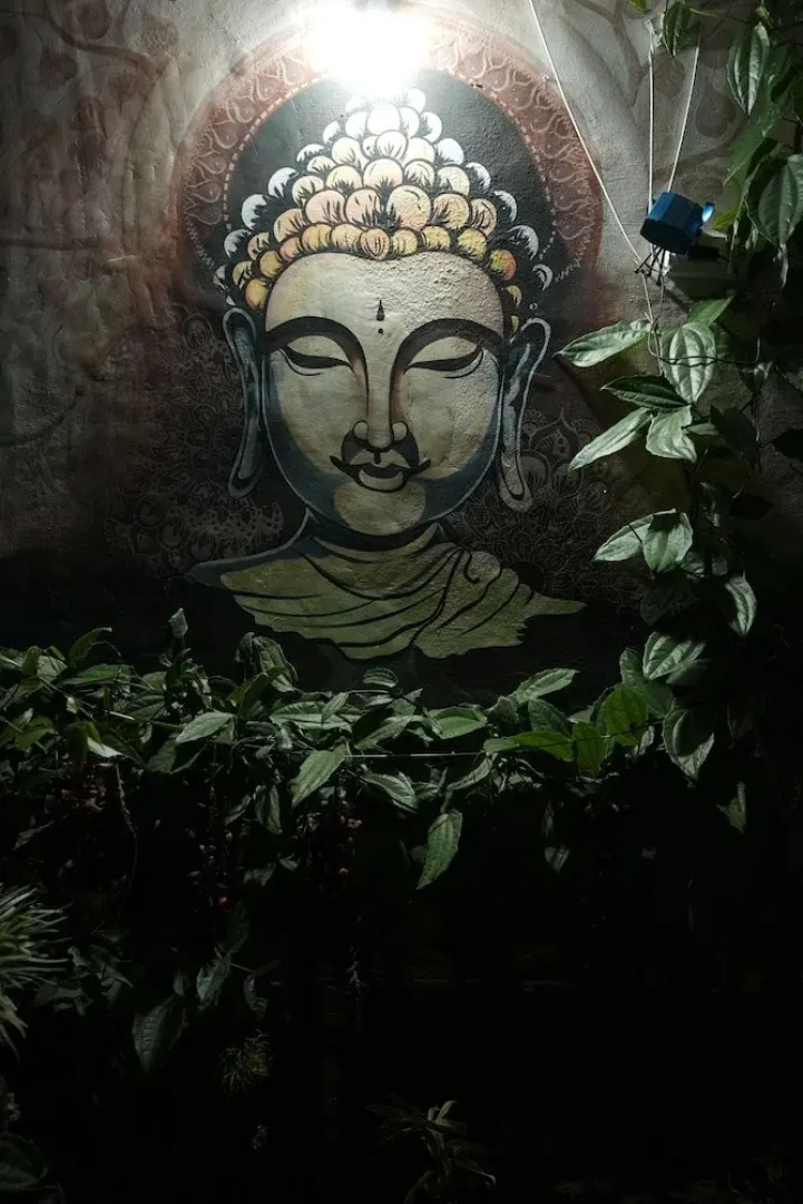 Wind Valley Farmstay