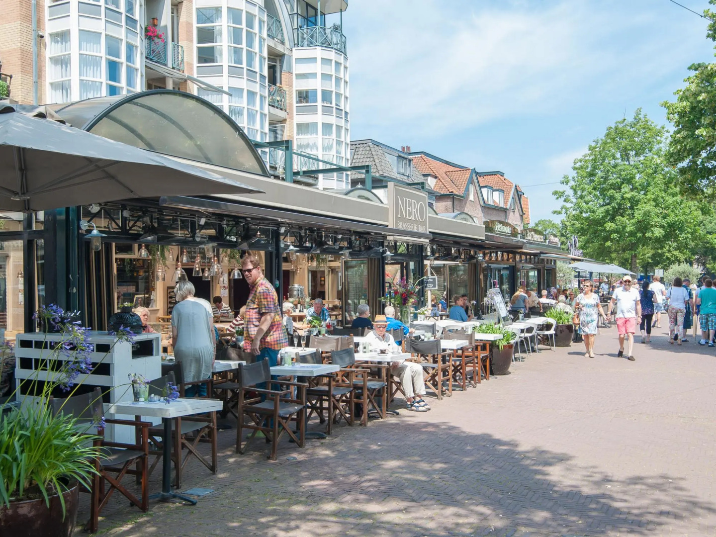 Calm Holiday Home in Bergen North Holland with Garden