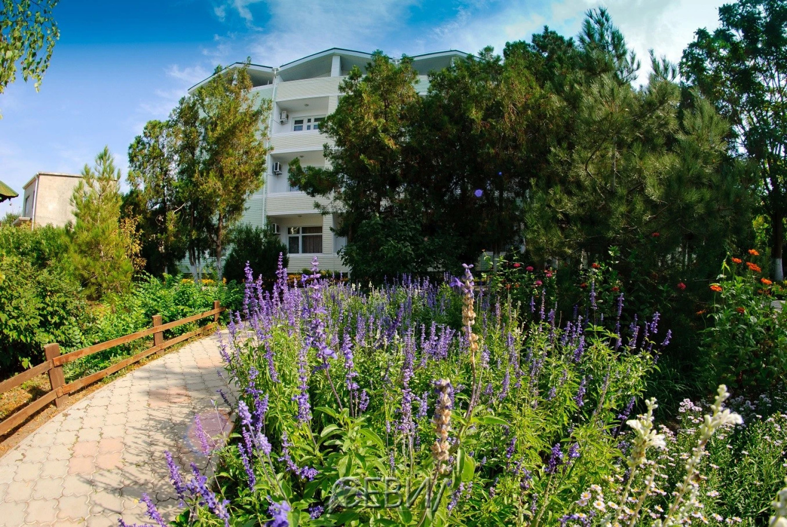 Корона(Евпатория)