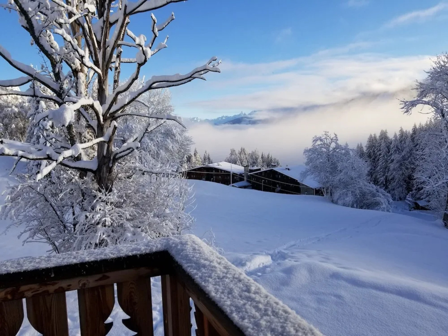 Les Balcons du Mont Blanc