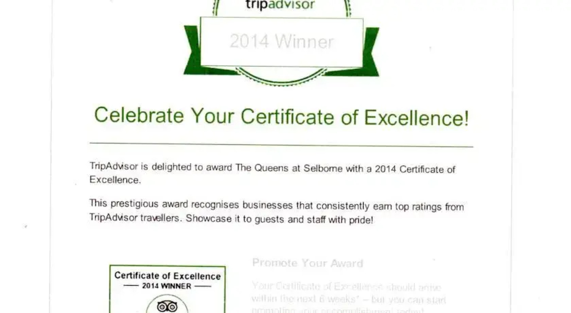 The Queens at Selborne