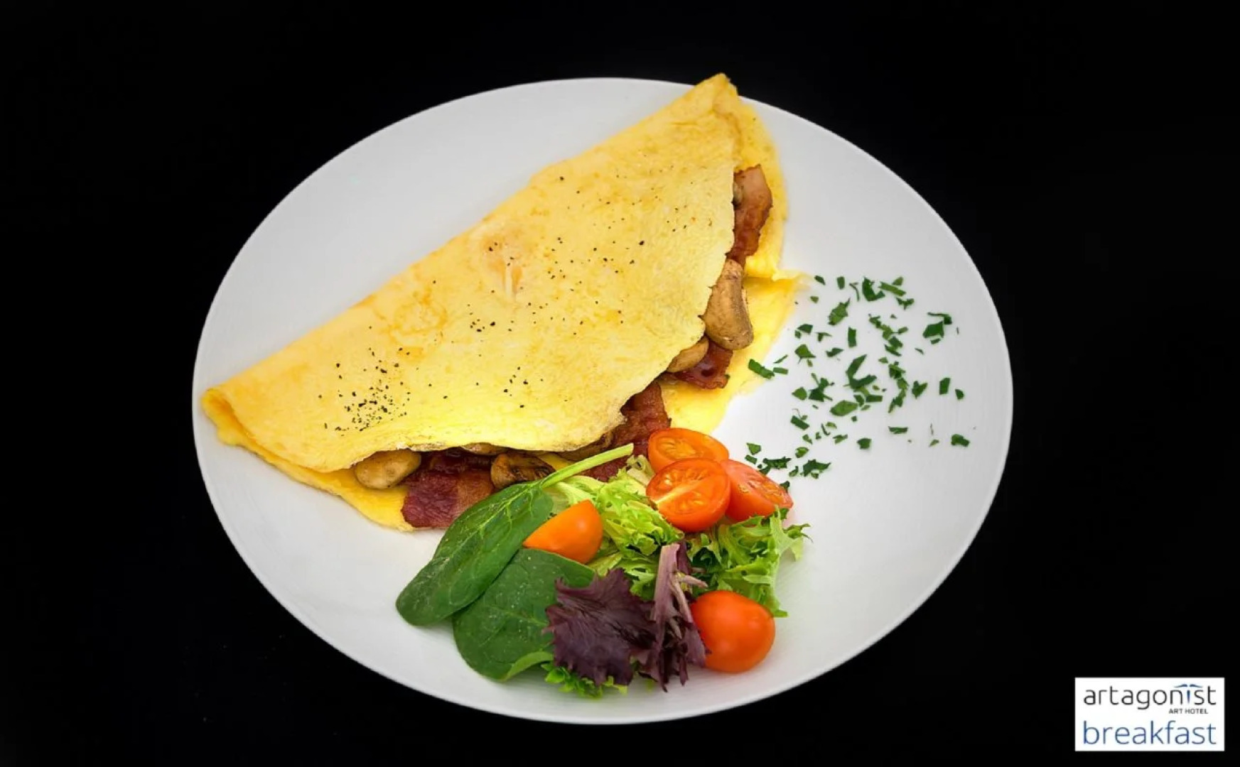 Отель Art Artagonist