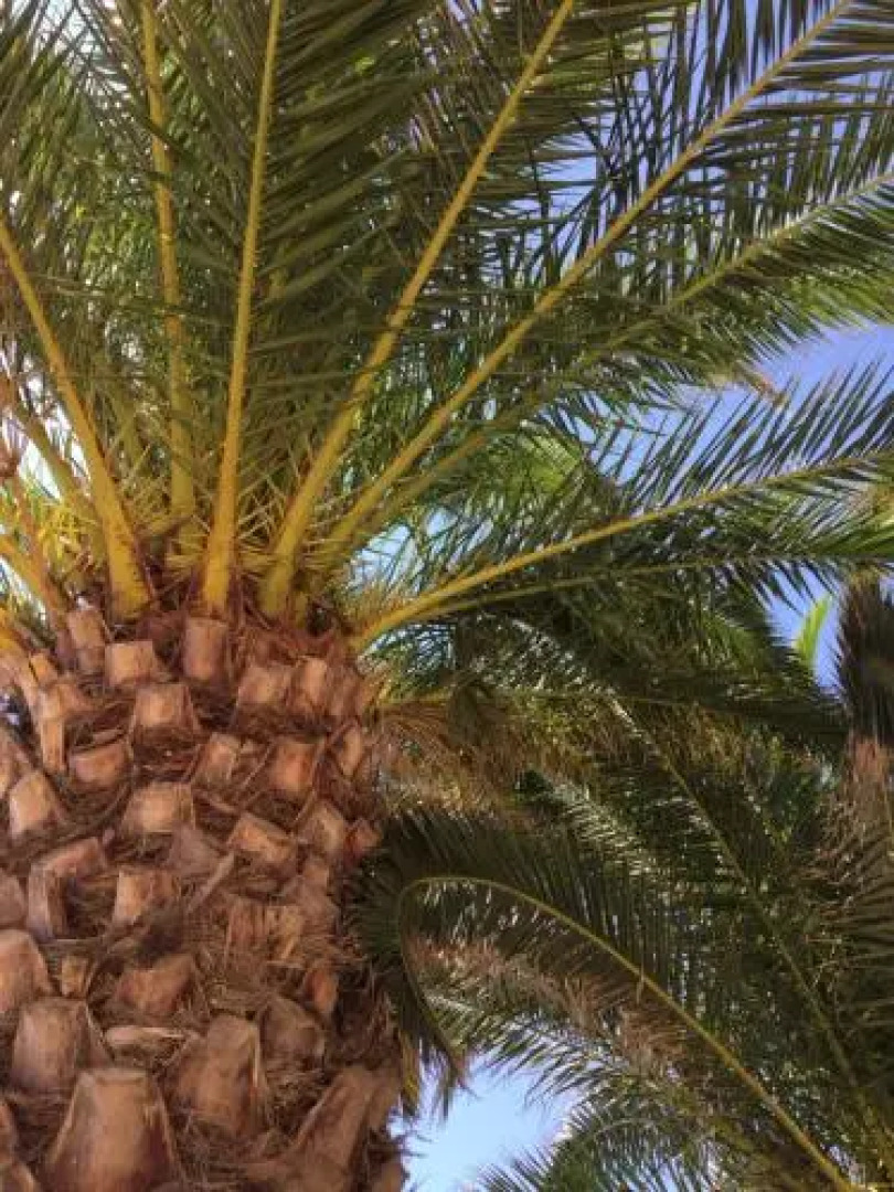 Sète - Fewo mit Meerblick, Schwimmbad