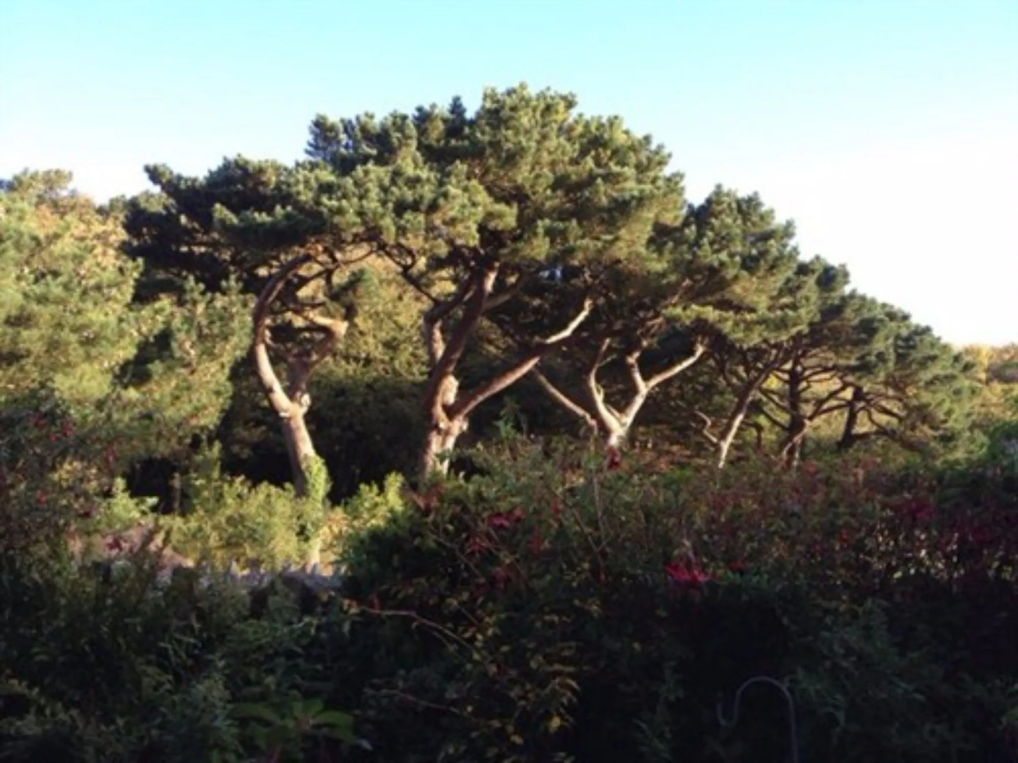 The Denes Guest House