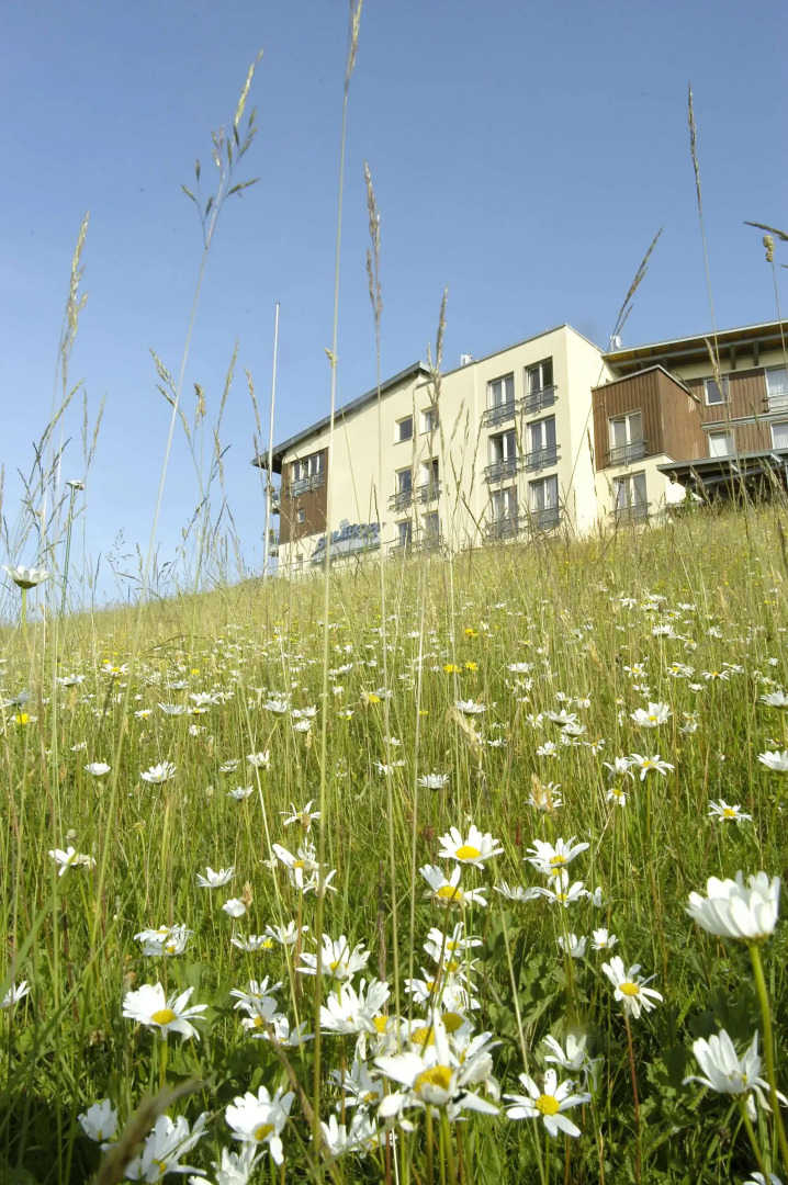 Wellness- & Nationalpark Hotel Schliffkopf Bwsc