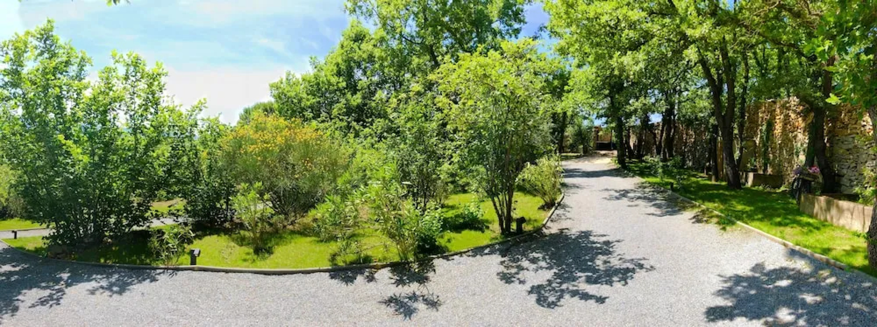 Wild Boar Mountain - France