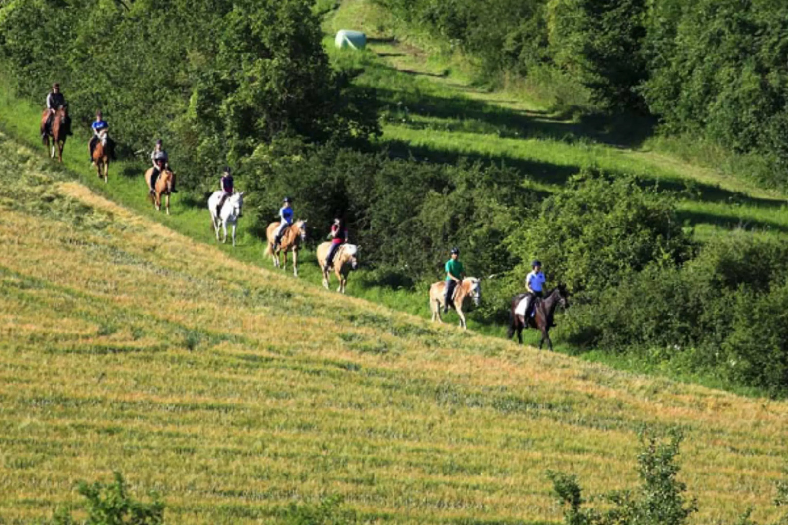 Apartment Urlaubsreiterhof Trunk