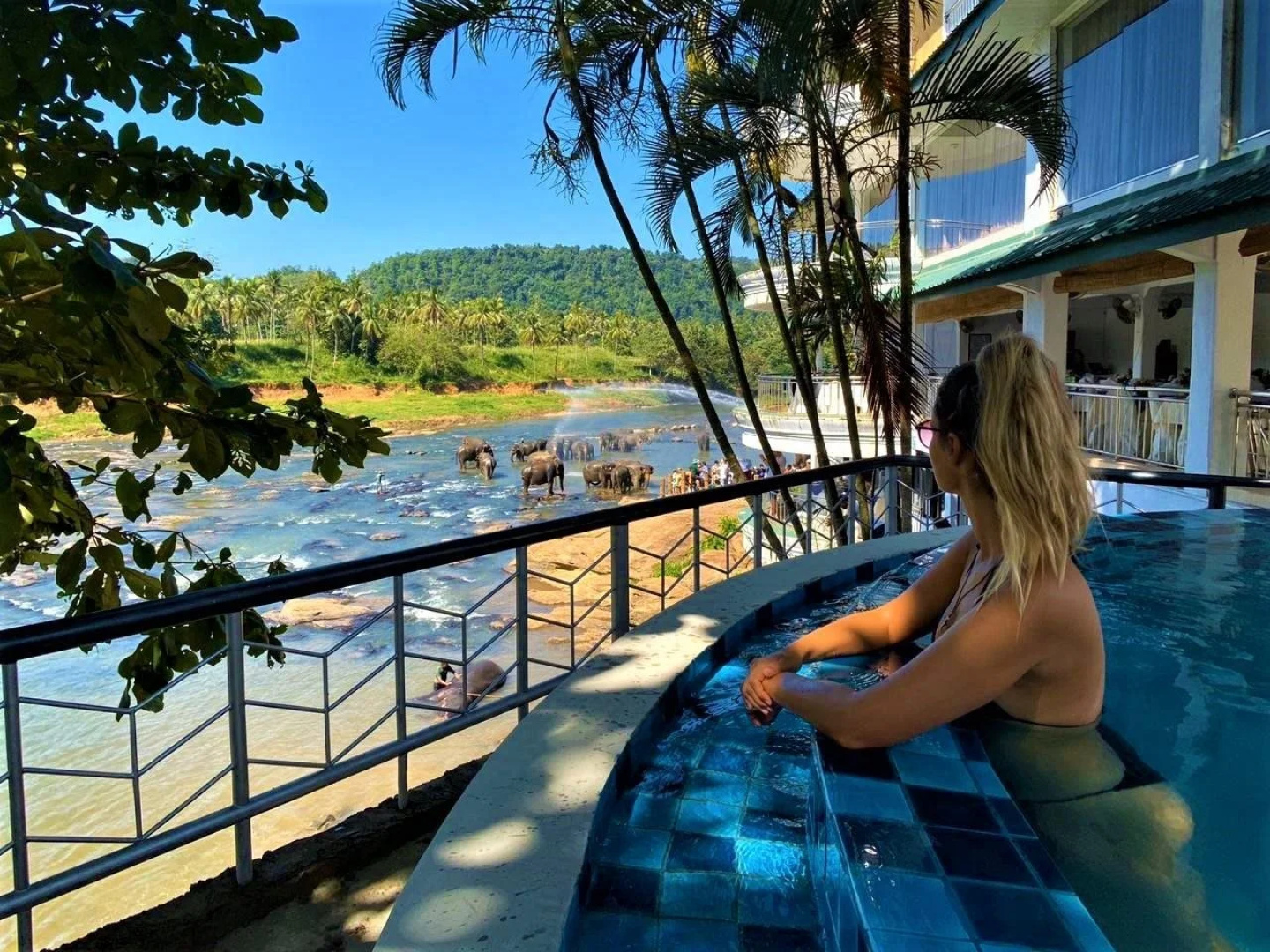 Hotel Elephant Park