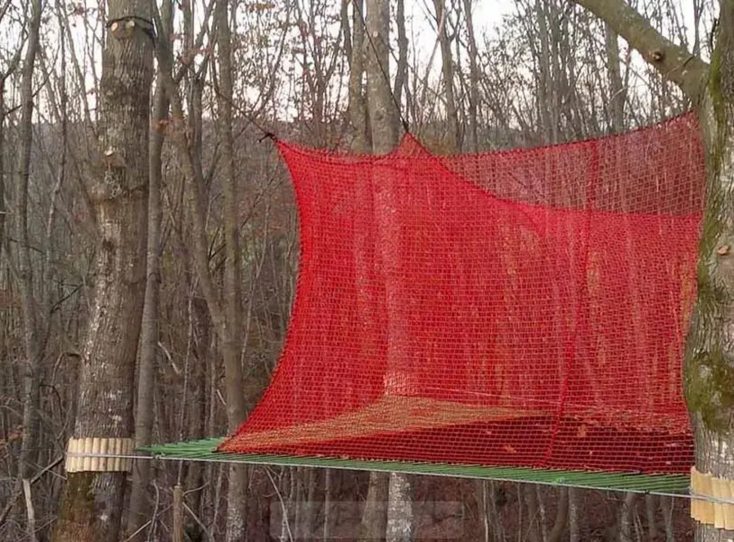 Les Nids du Parcabout