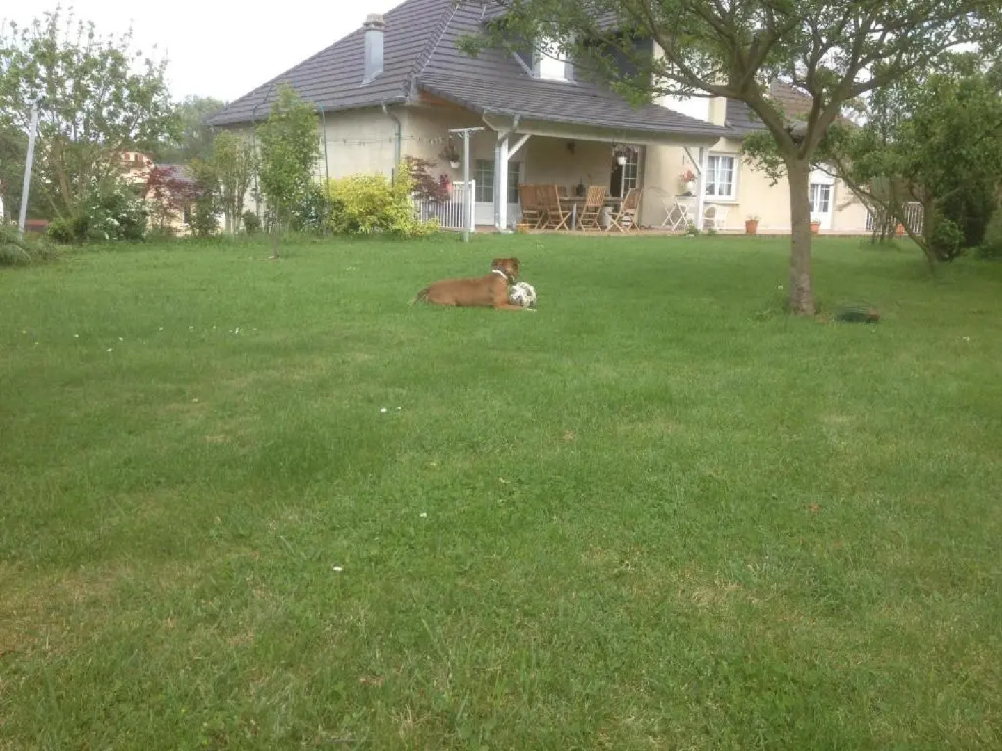Appartement des ruisseaux