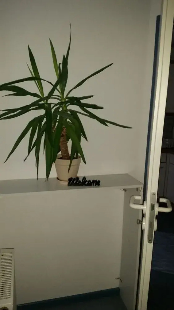 Apartment Ehrenbreitstein - Am Markt