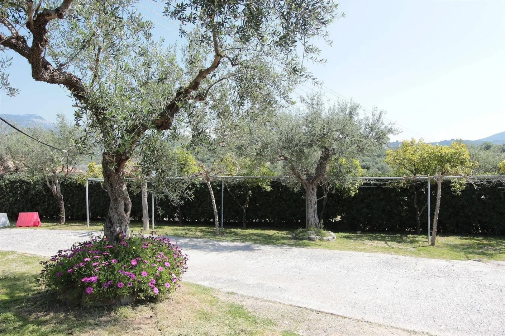 Apollon Apartments