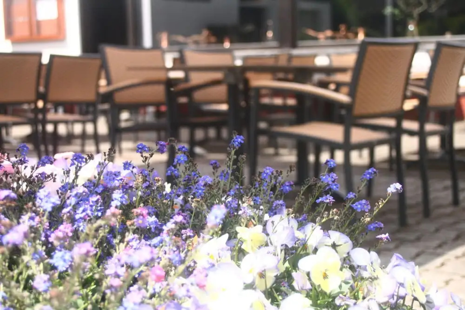 Bescheider Mühle Hotel & Restaurant