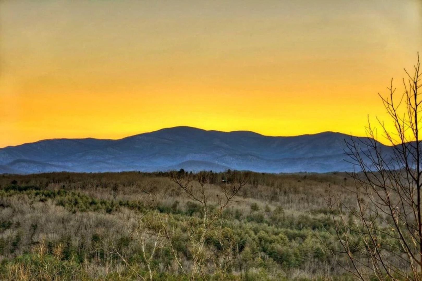 Bear Hug by Escape to Blue Ridge