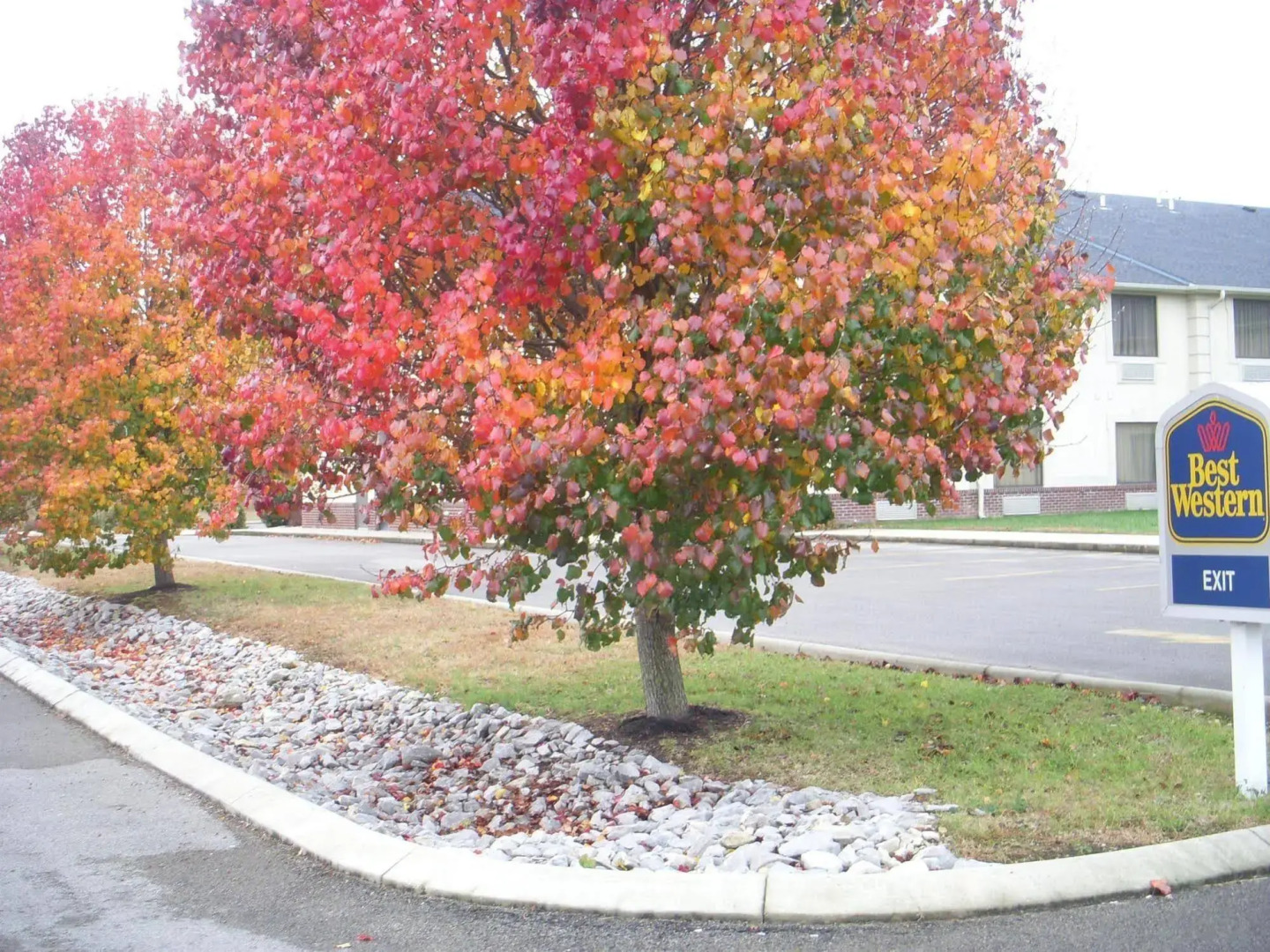 Baymont Inn & Suites Albany