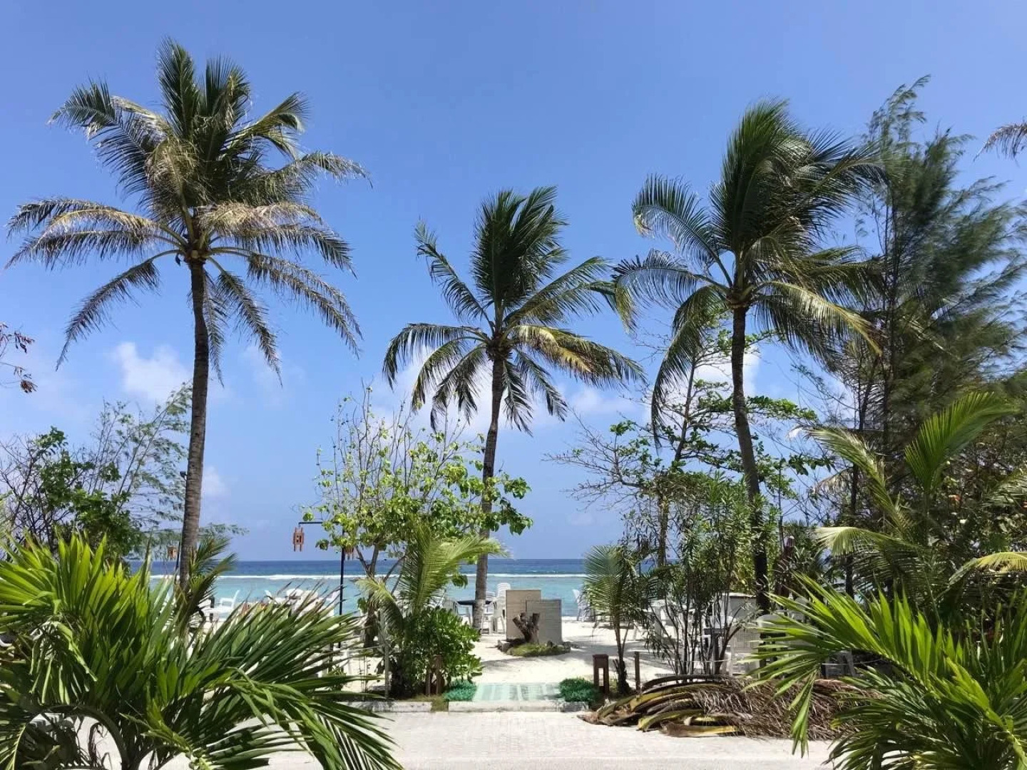 Отель Airport Comfort Inn Premium