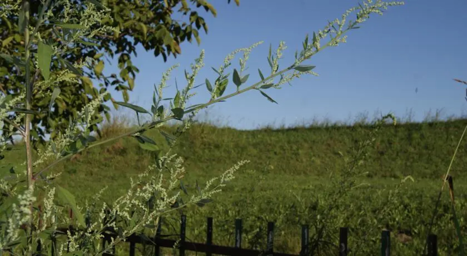 Agriturismo La Valbona