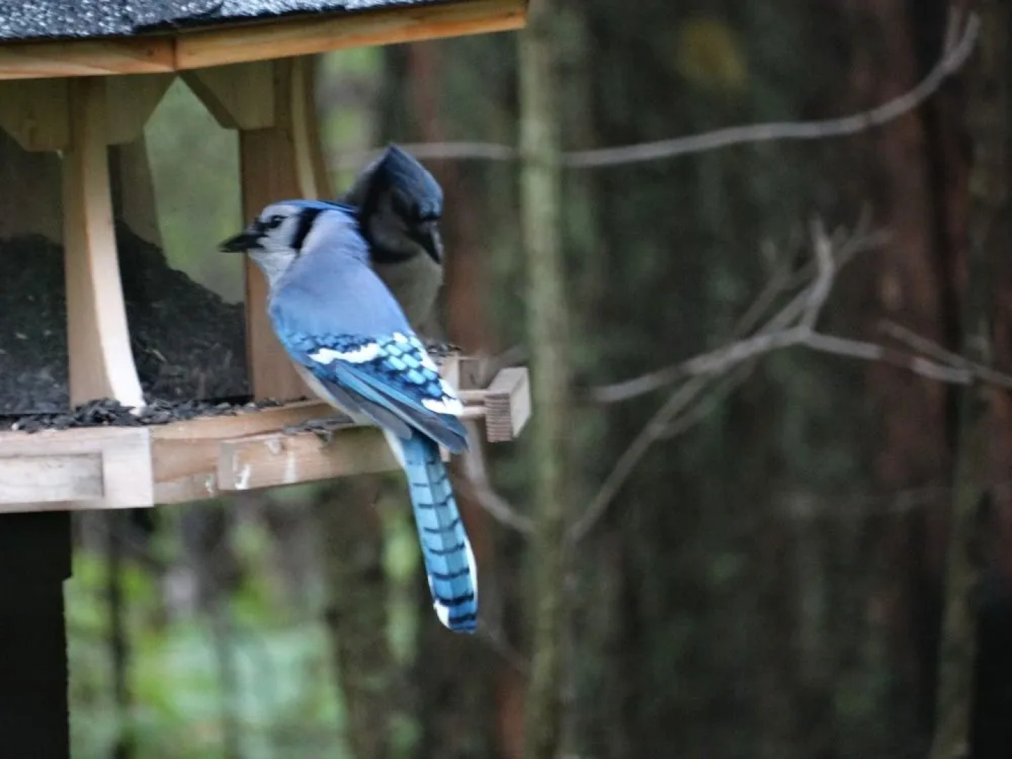 Tranquil Moments Bed & Breakfast