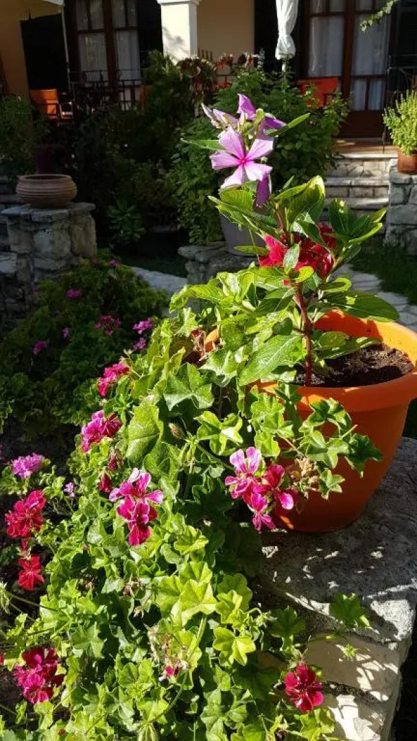 Castello Bellos Villas & Apartments