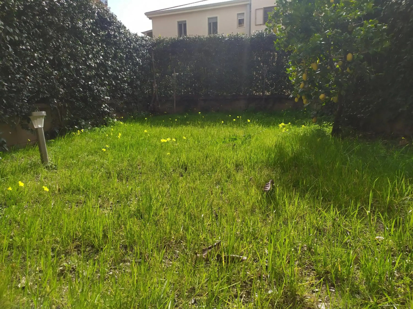 Barnet House Lamezia