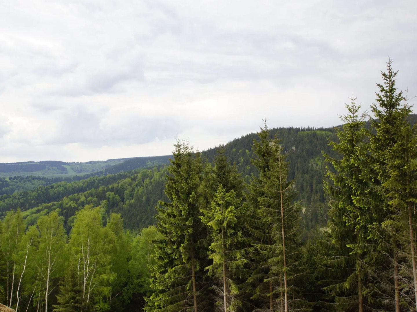 Holiday Home in Pernink in a Beautiful Mountainous