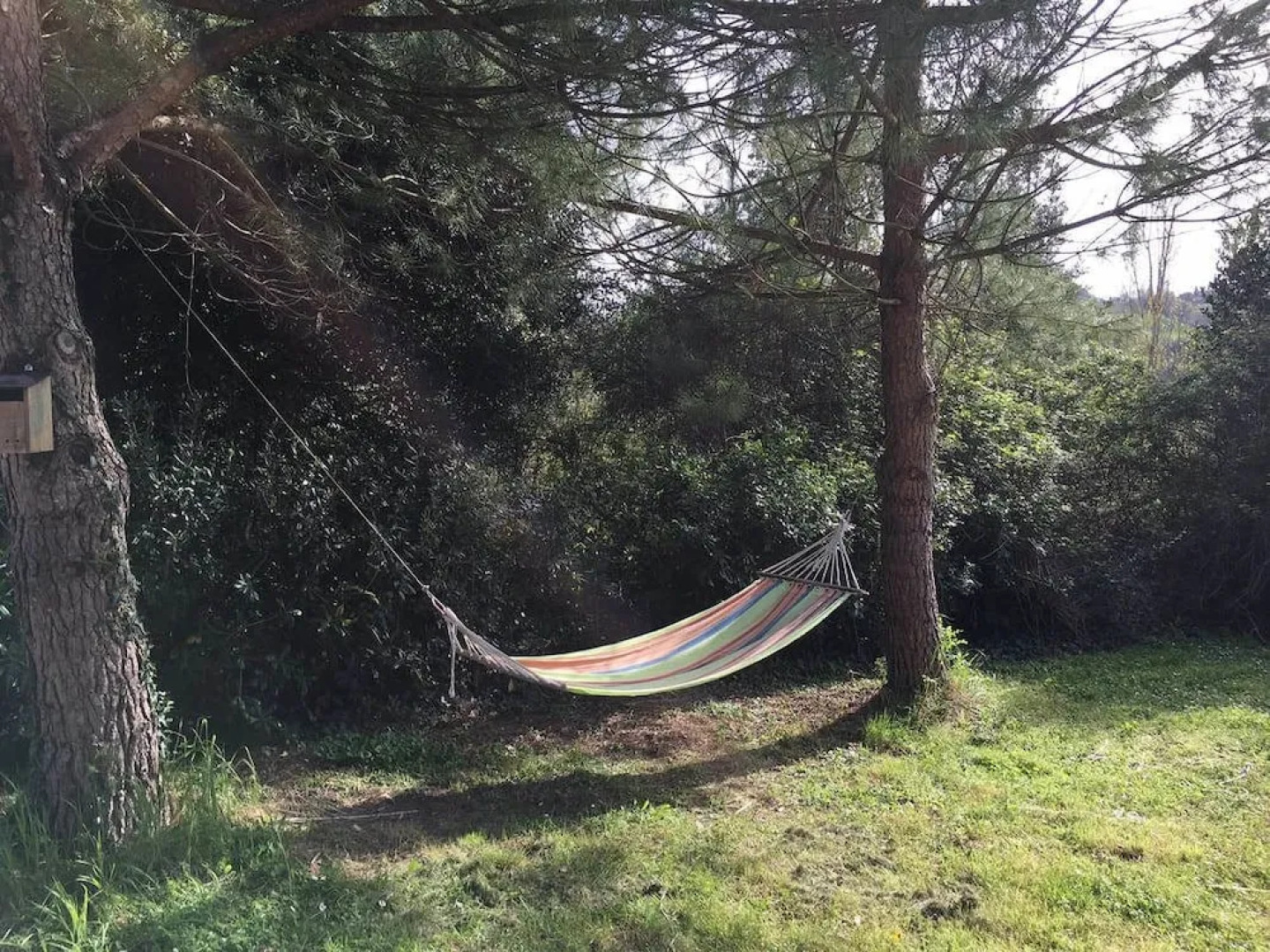 Agriturismo La Distesa