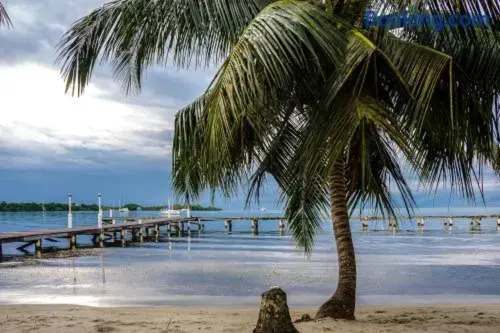 Carol's Cabanas