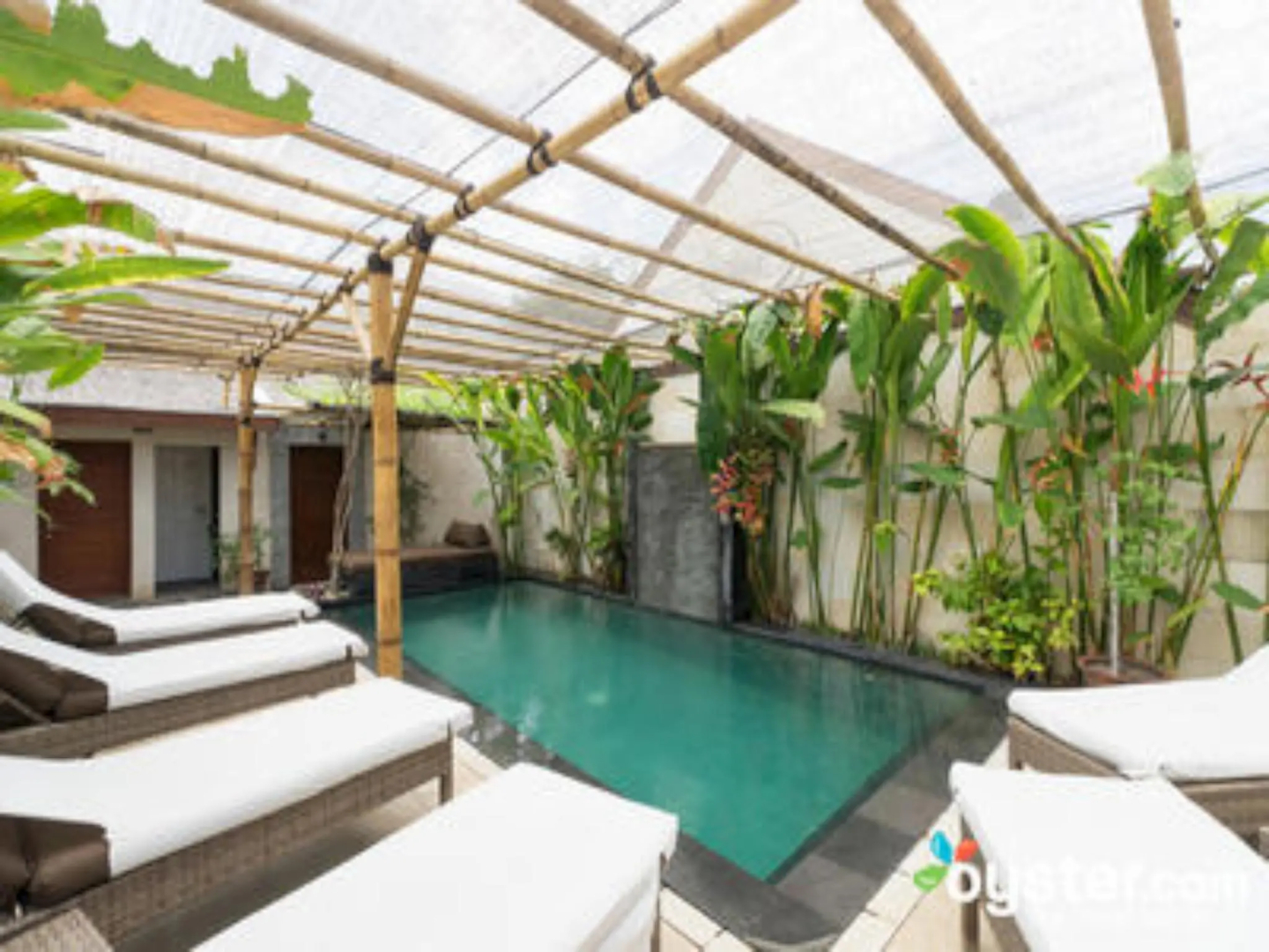 Scallywags Smugglers