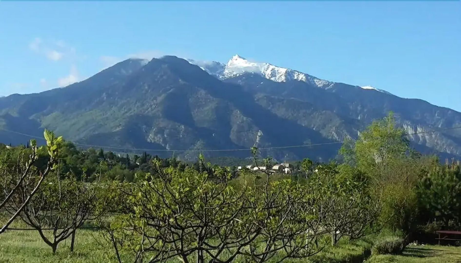 Mas du Canigou