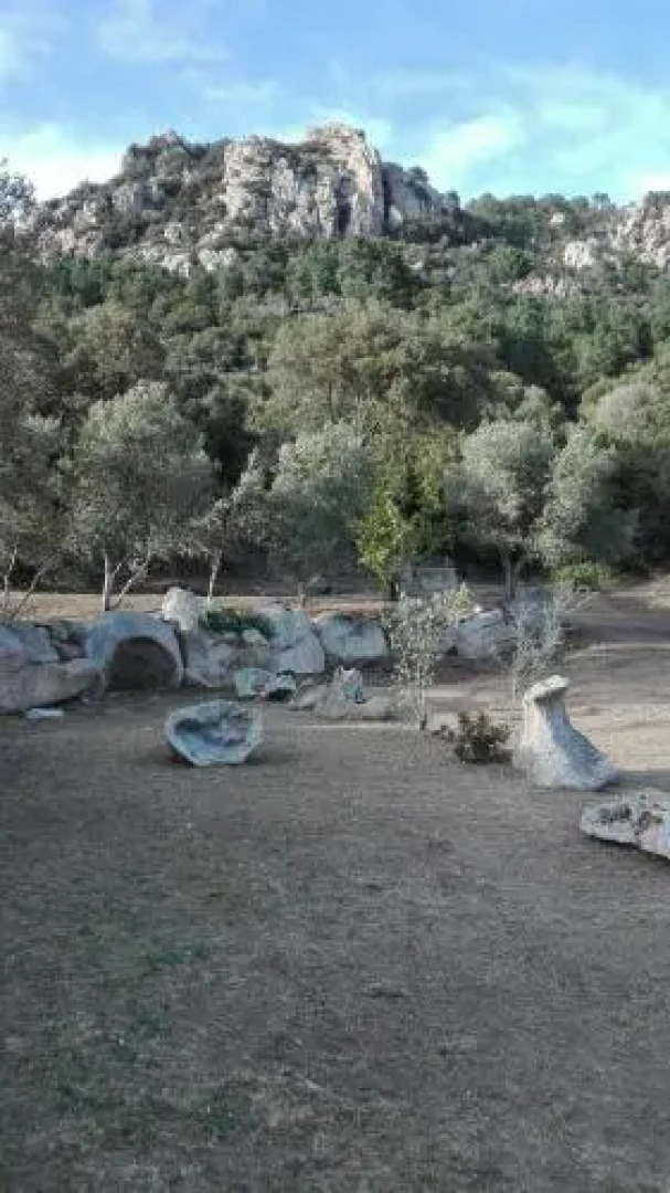 Agriturismo Monte Pino