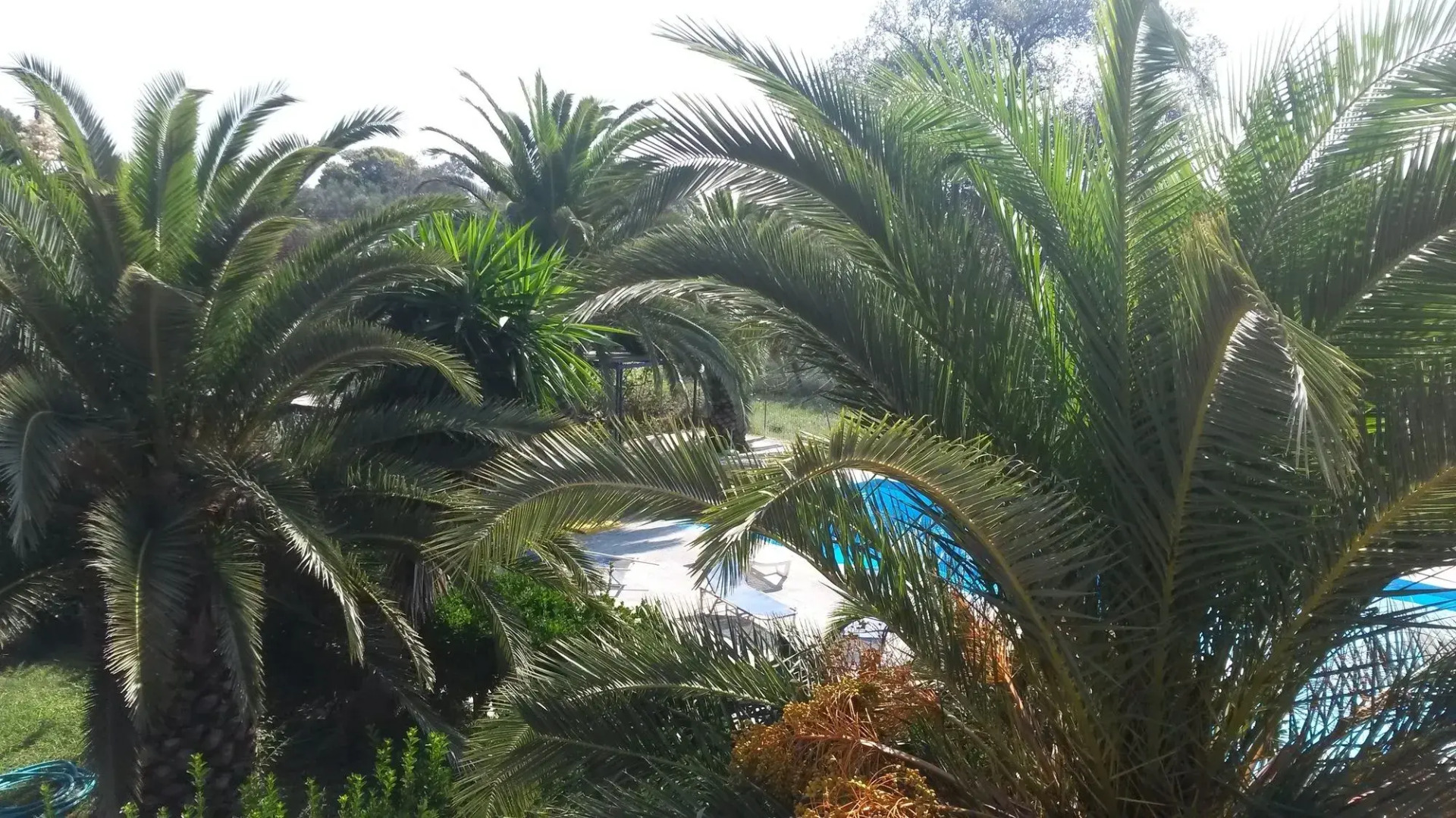 Sunny Dreams Apartments Ipsos